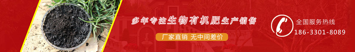 中部广告