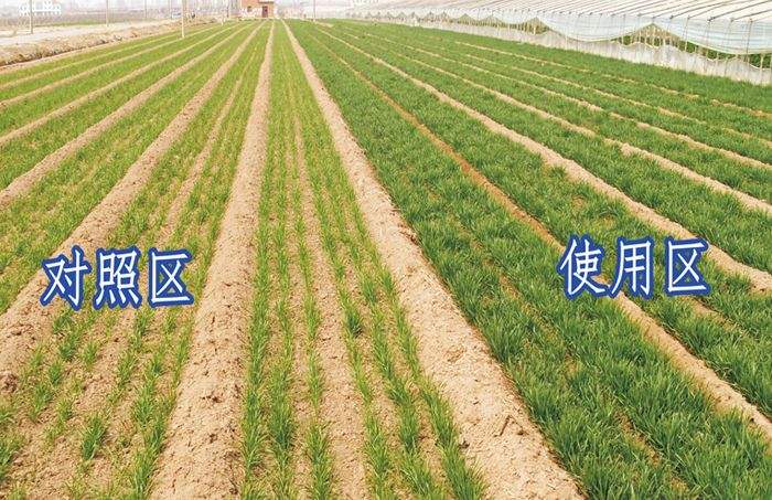 生物有机肥的优点